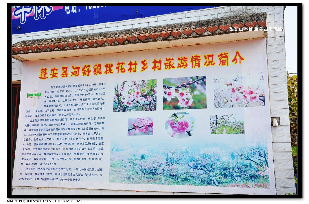 2010115Ƭ 187.jpg