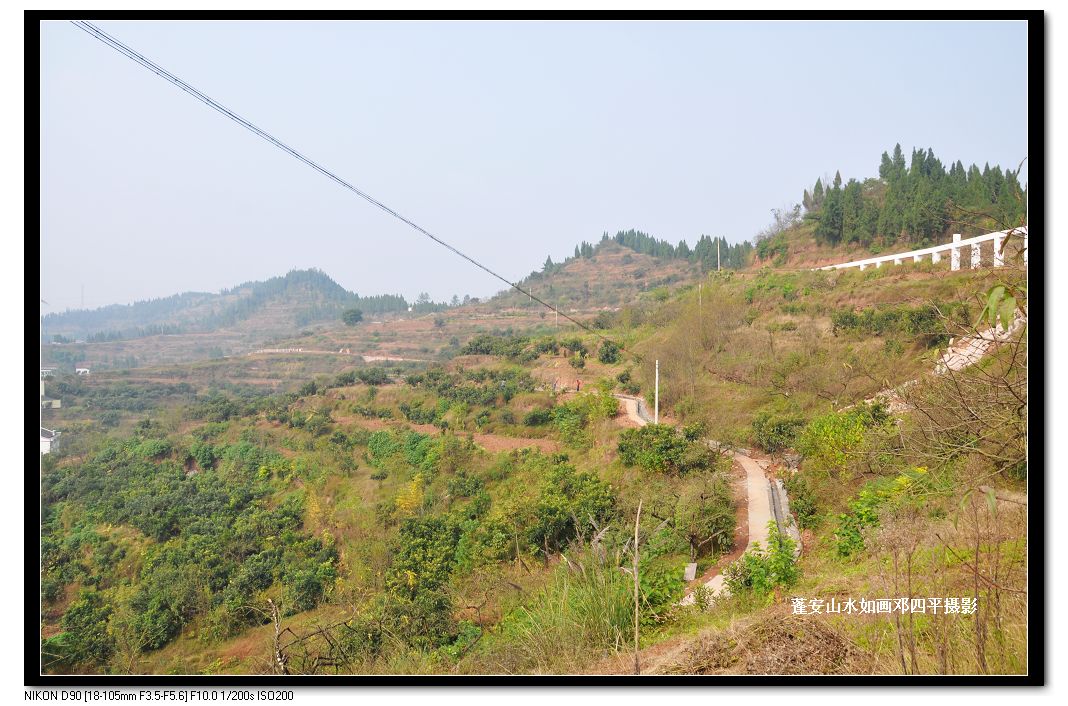2010115Ƭ 187.jpg
