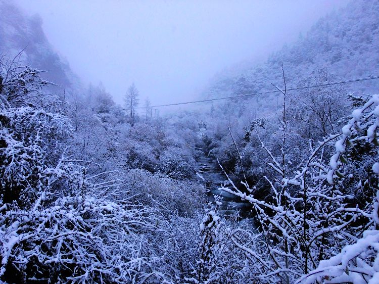 DSCF0995.jpg