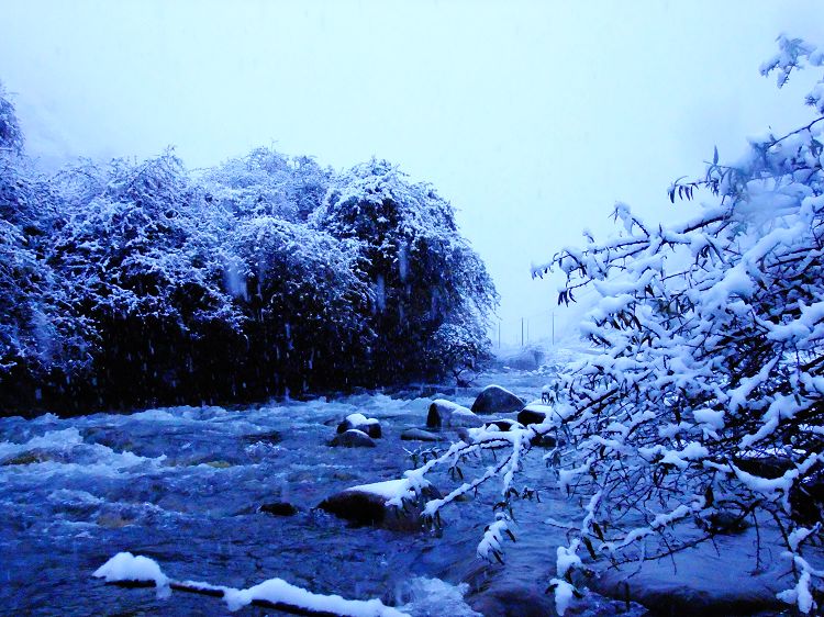 DSCF1015.jpg