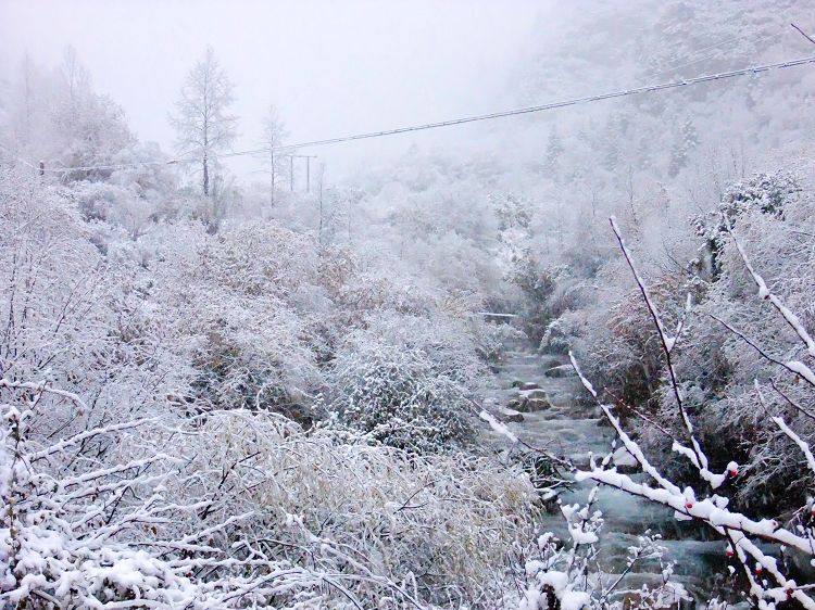 DSCF0996.jpg