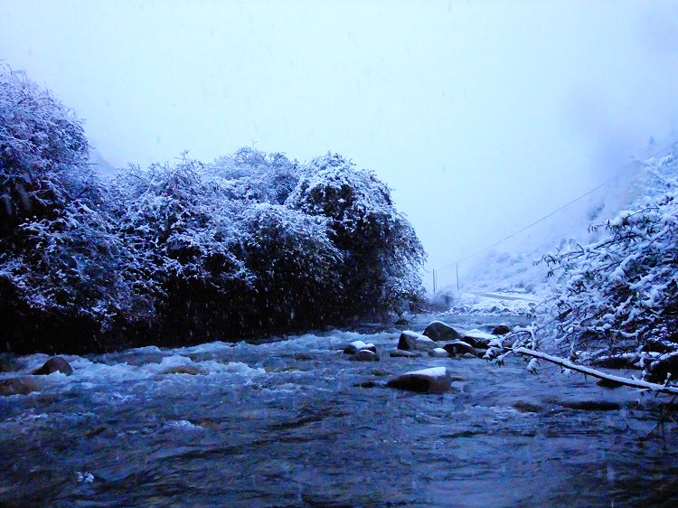DSCF1014.jpg