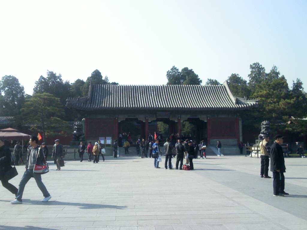 IMG0733A.jpg