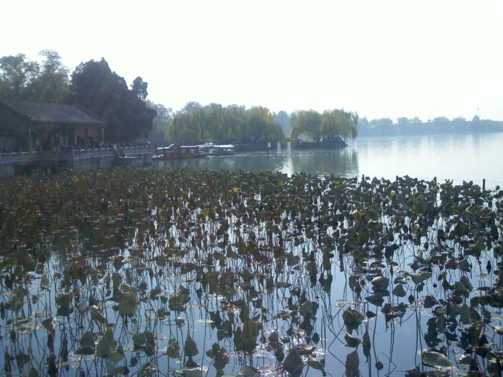 IMG0664A.jpg