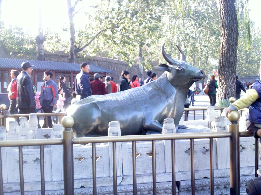 IMG0580A.jpg