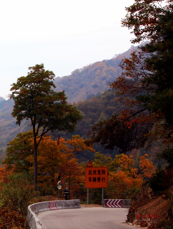 06.JPG