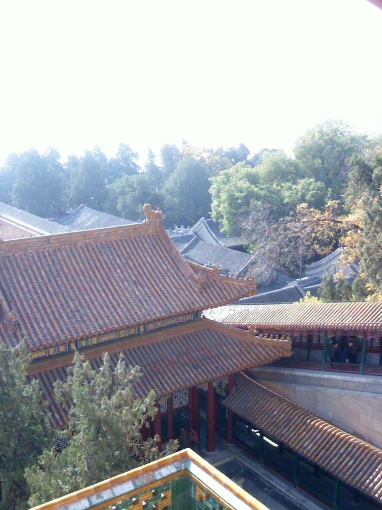 IMG0700A.jpg