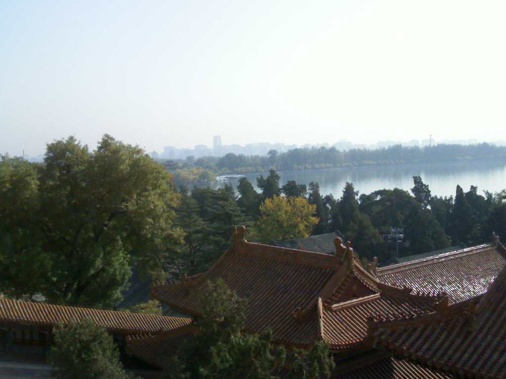IMG0704A.jpg