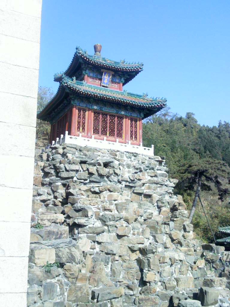 IMG0708A.jpg