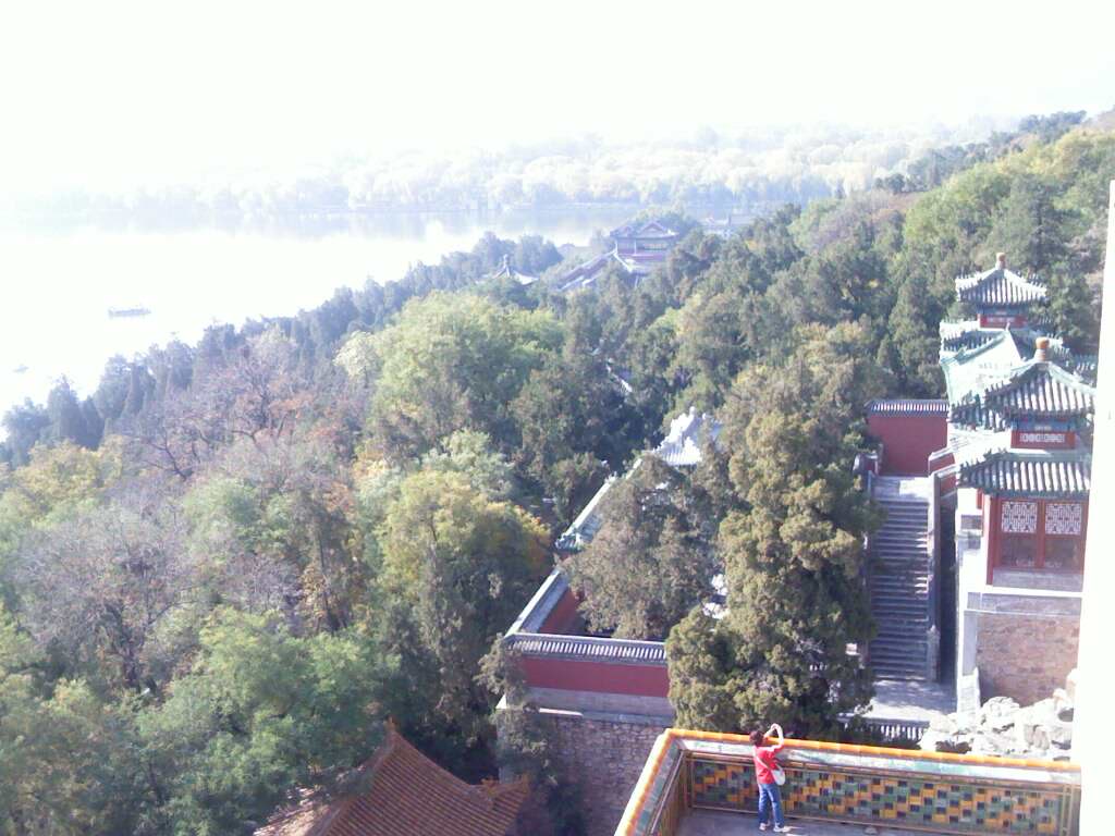 IMG0710A.jpg
