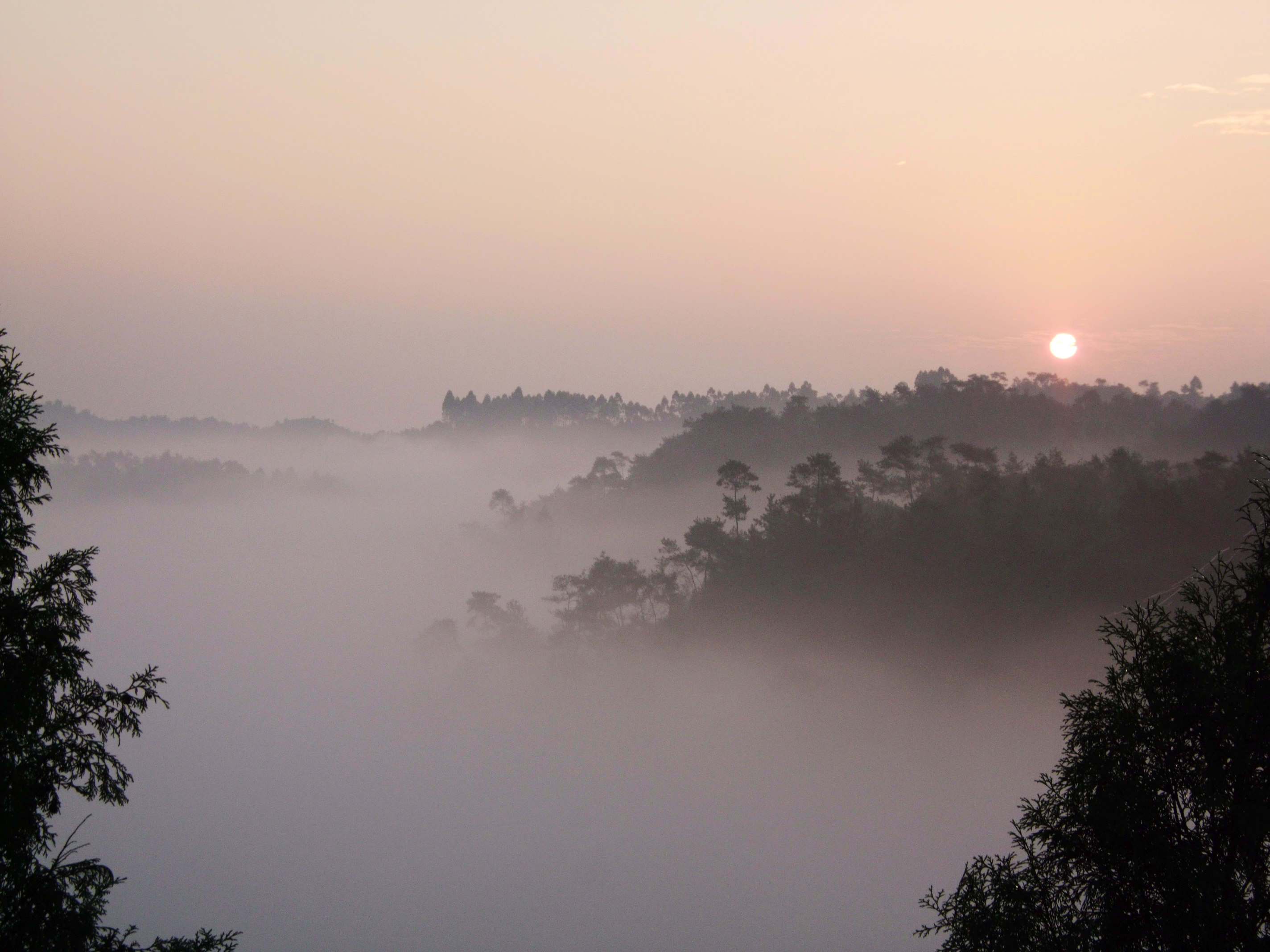 DSCF5044.jpg
