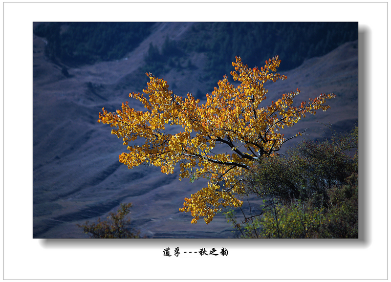 IMG_0963.jpg