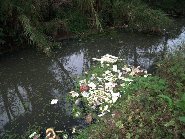 DSCF8374.JPG