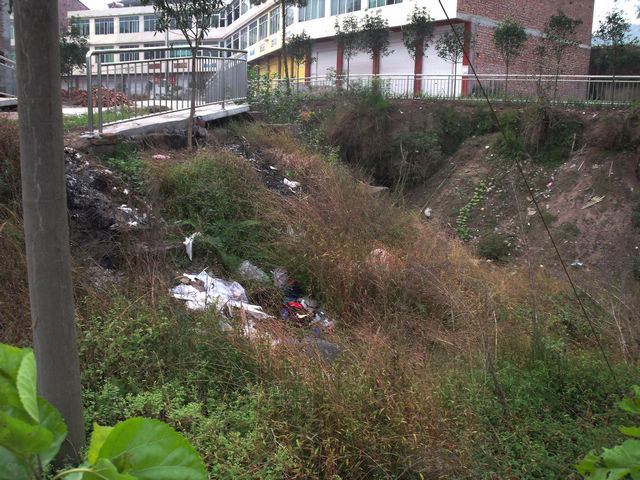 DSCF8365.JPG