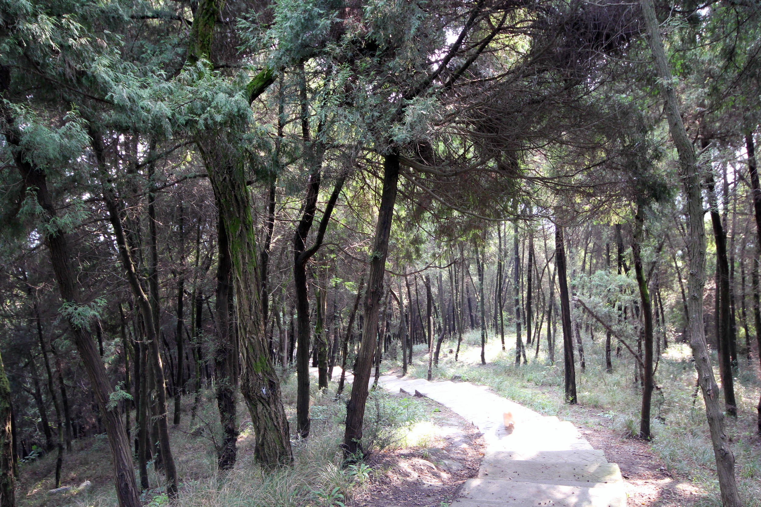 Ի (13).JPG