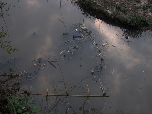 DSCF8401.JPG