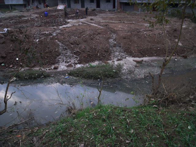 DSCF8396.JPG