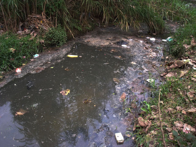 DSCF8414.JPG