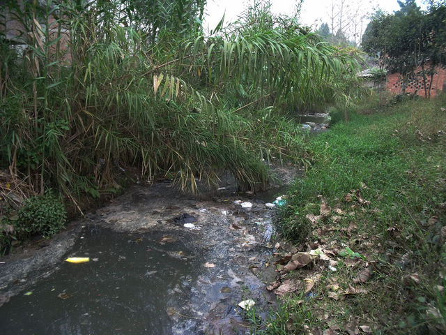 DSCF8412.JPG