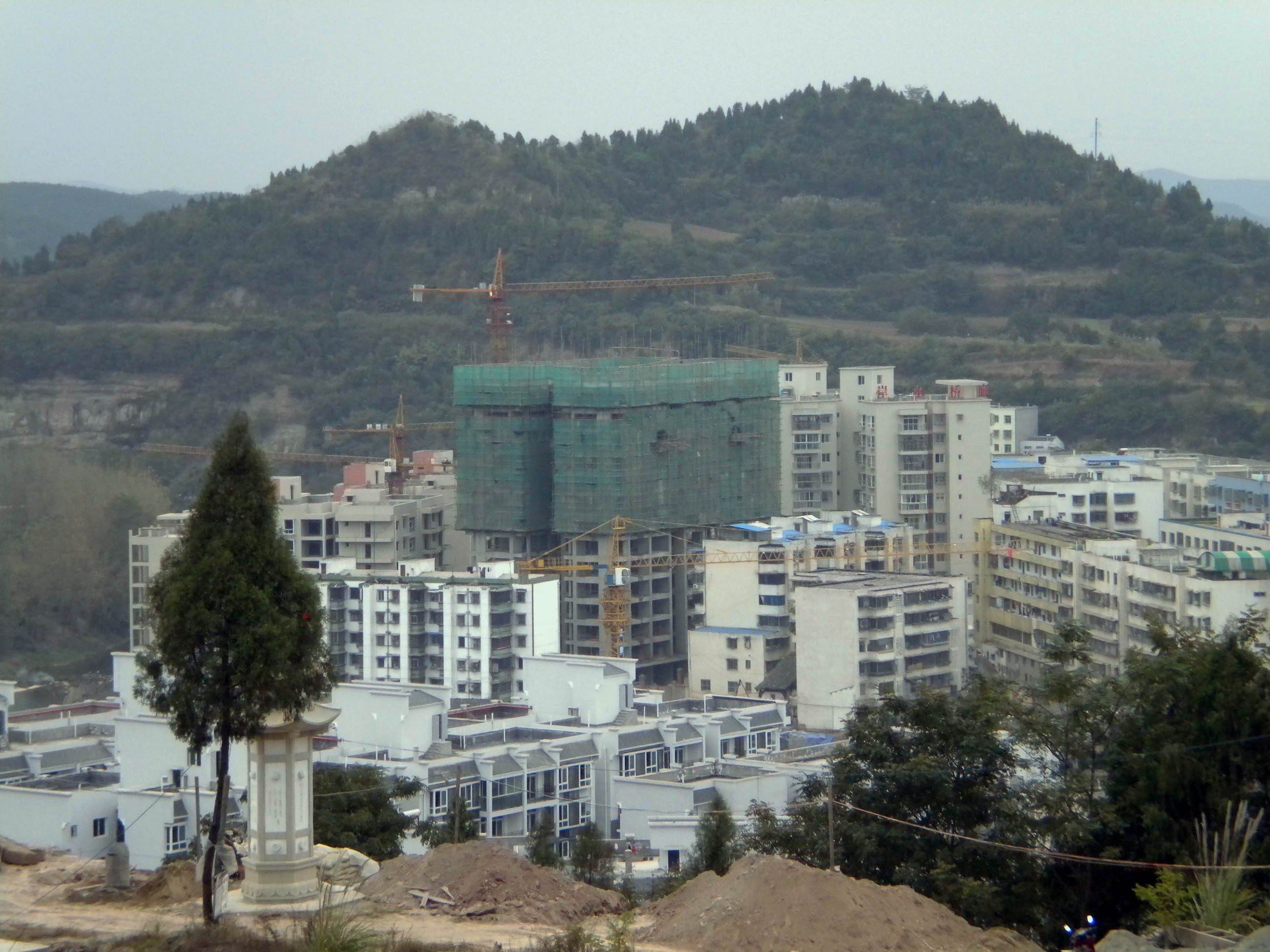DSCN0946.JPG