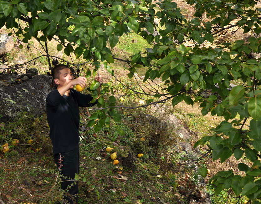 DSC_0965_СС.JPG