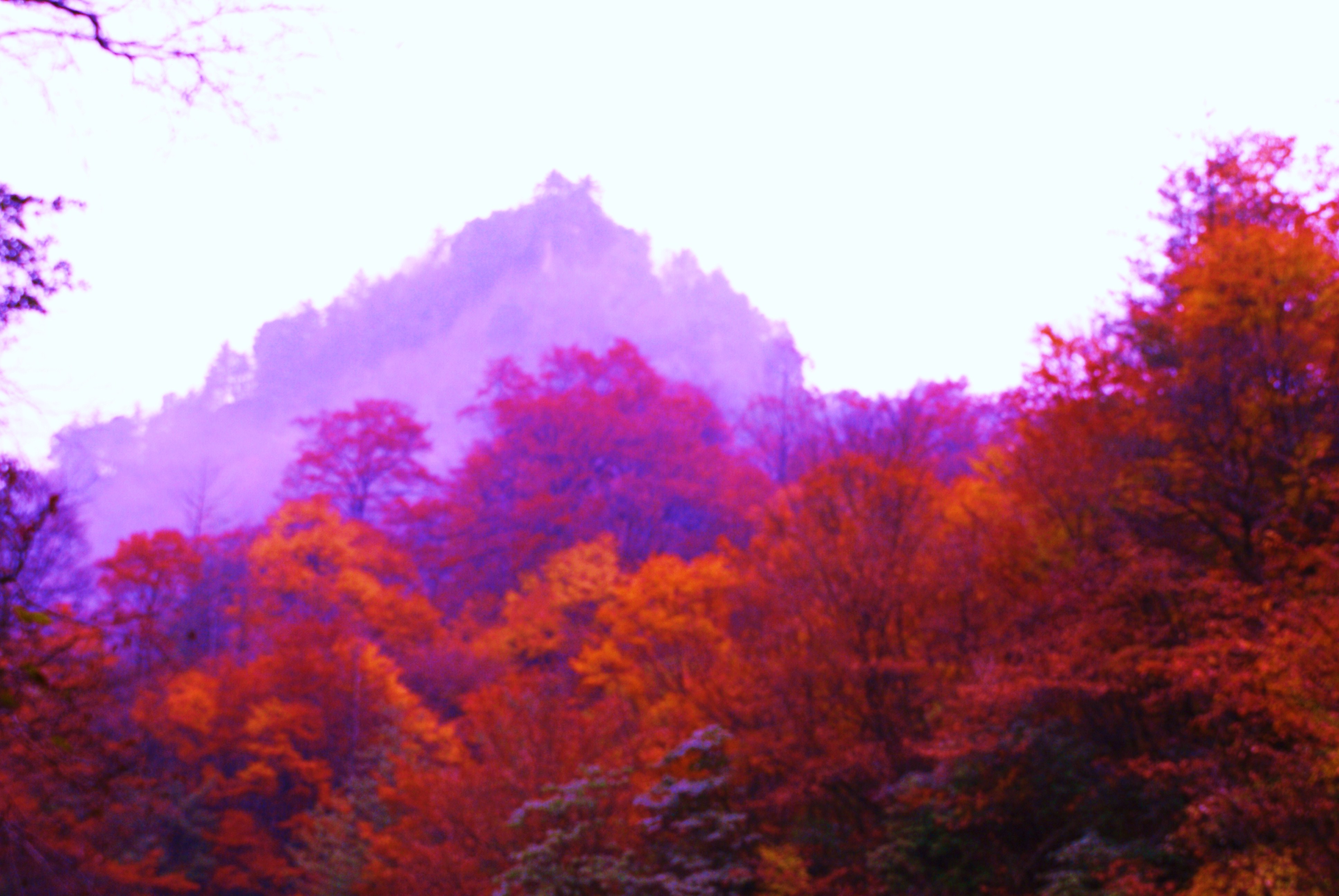 DSC02743.JPG