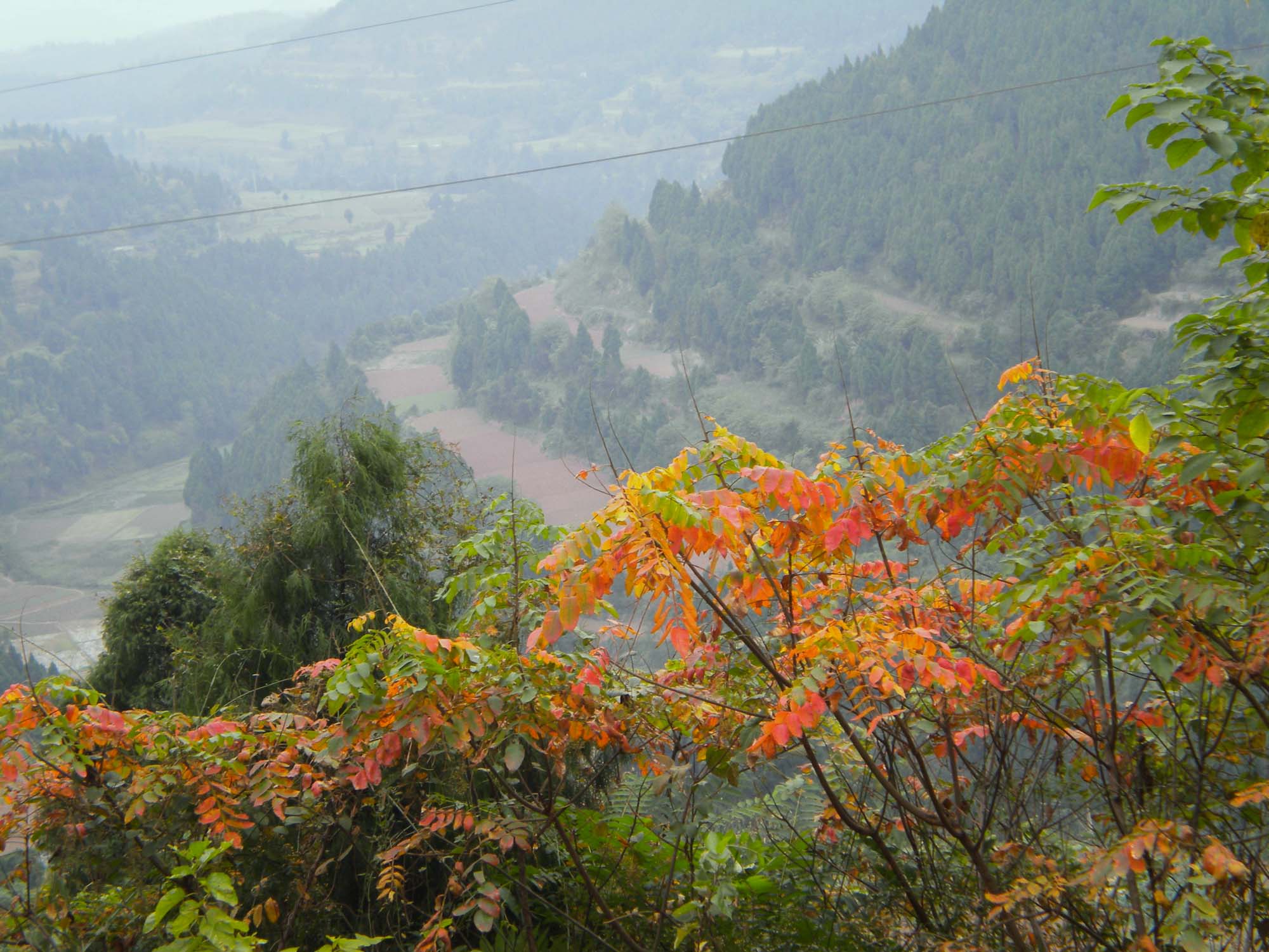 DSCN1019.JPG