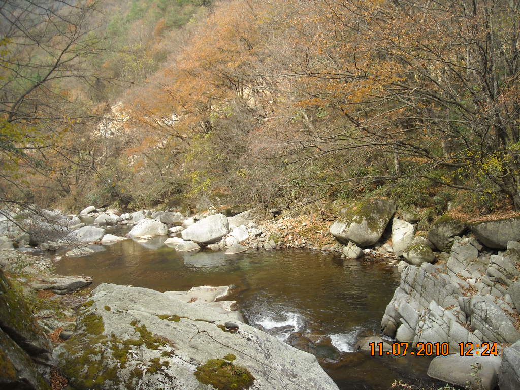 DSCN0547.JPG