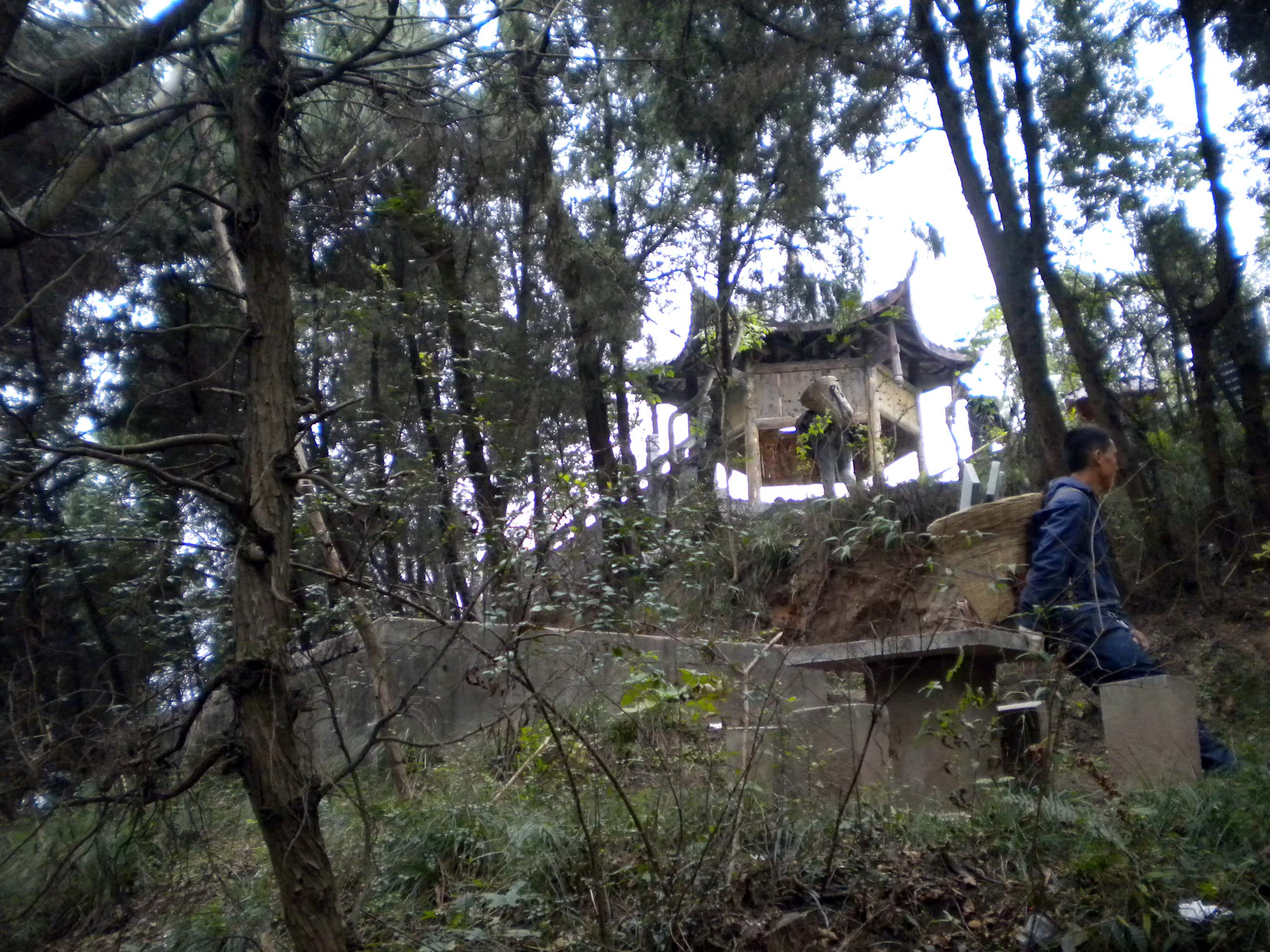 DSCN0962.JPG