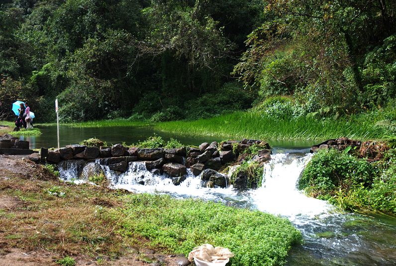 DSC_0446.JPG