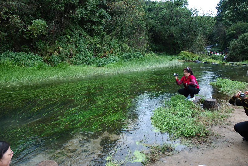 DSC_0459.JPG