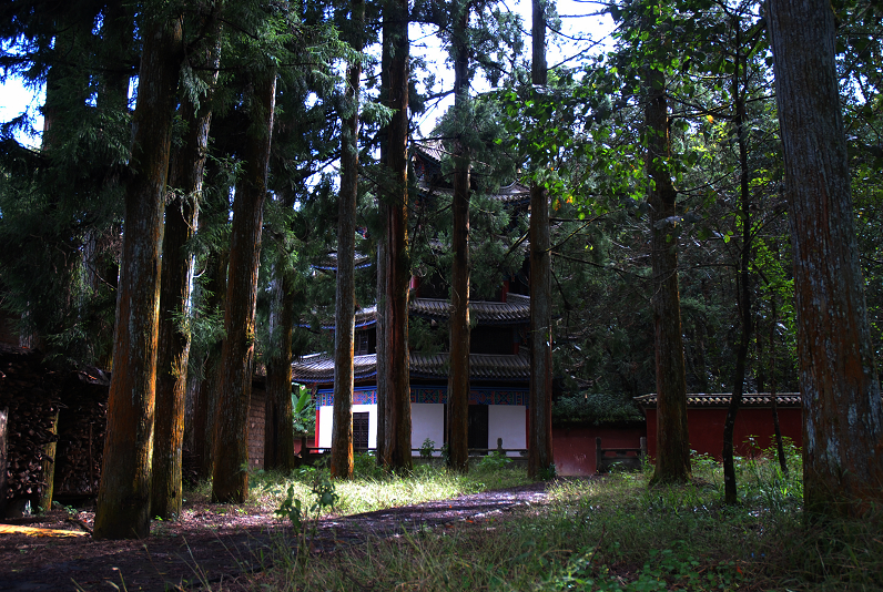 DSC_0493.JPG
