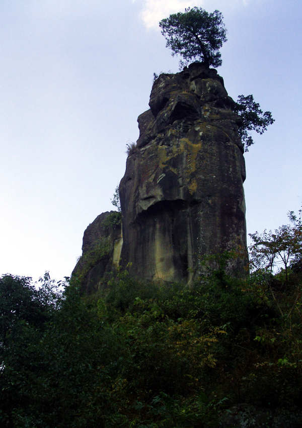 SNV14372.jpg