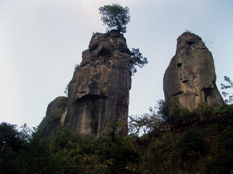 SNV14370.jpg