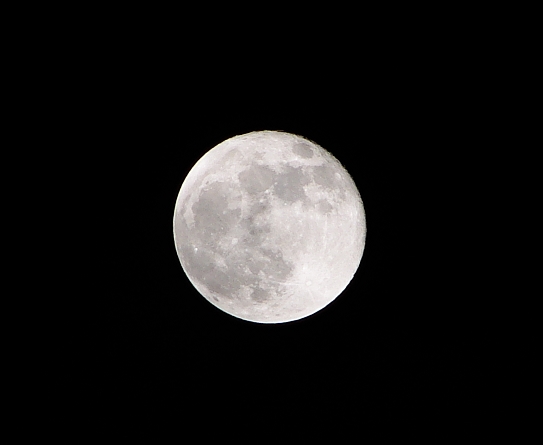 2006982331623721.jpg