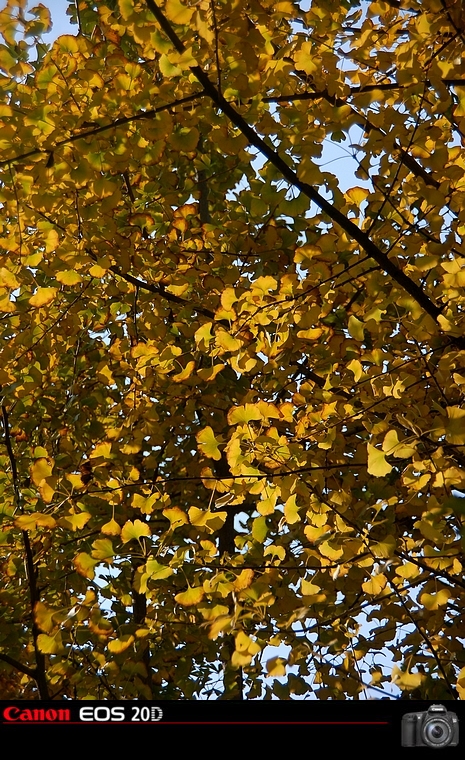 DSC_0039.jpg