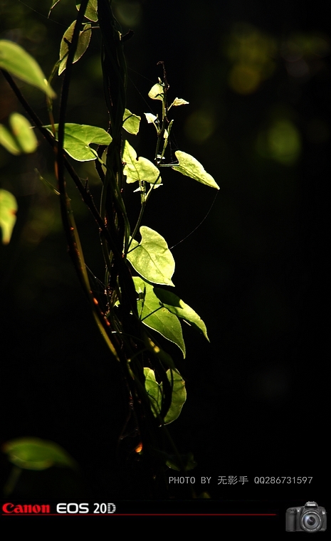 DSC_0072.jpg