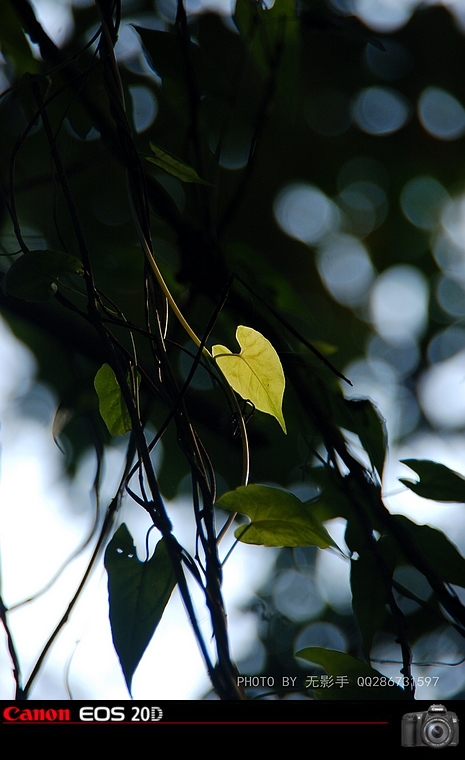DSC_0074.jpg