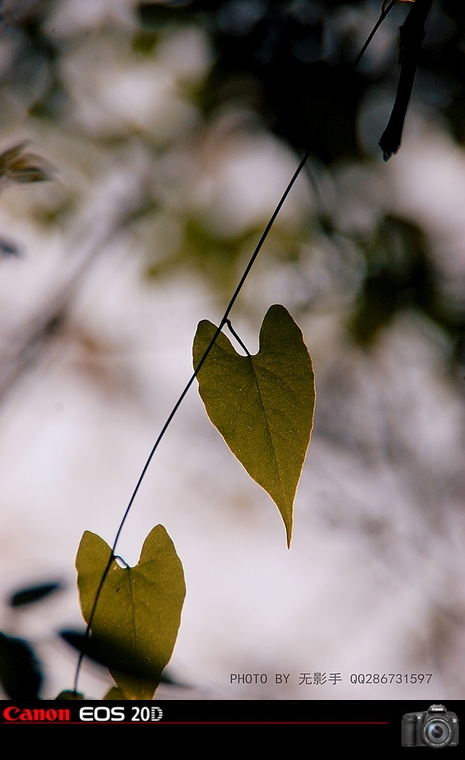 DSC_0077.jpg