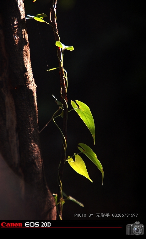 DSC_0076.jpg