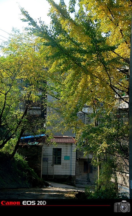 DSC_0085.jpg