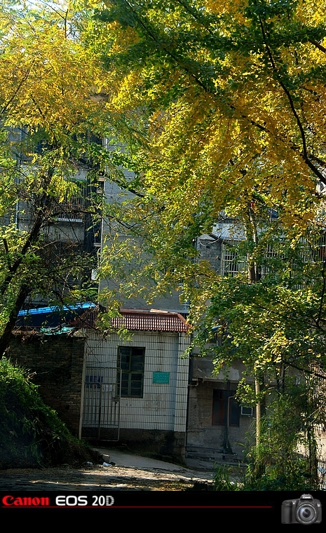 DSC_0086.jpg