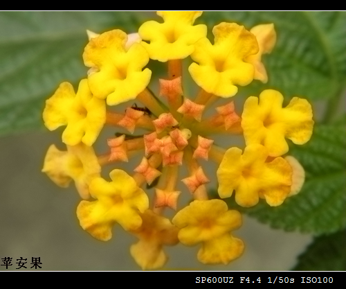 PB145399.jpg