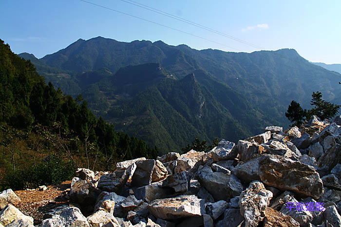 IMG_5838 .jpg