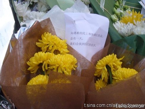 20101122193746106.jpg