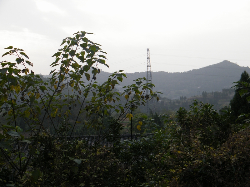 DSCF2006.JPG