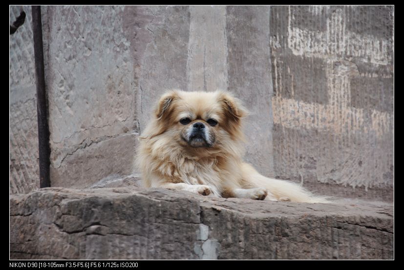 20101122մƬ 305.jpg