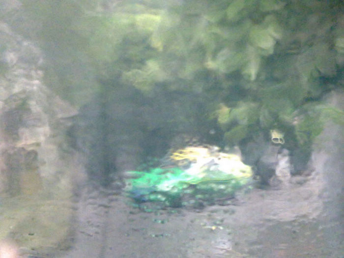 20100924257.jpg