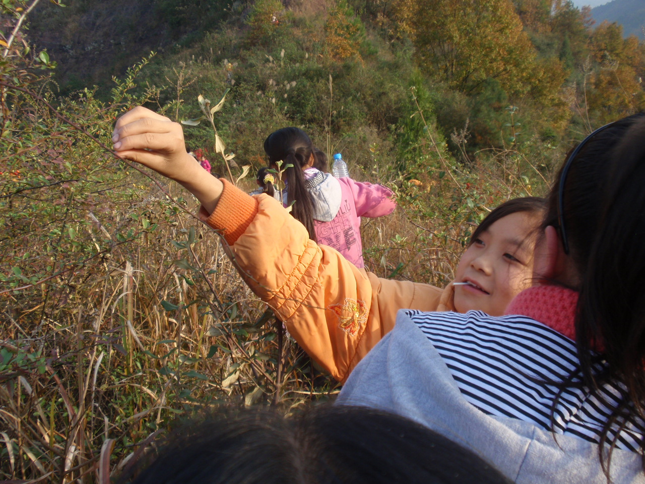 PB240045.JPG