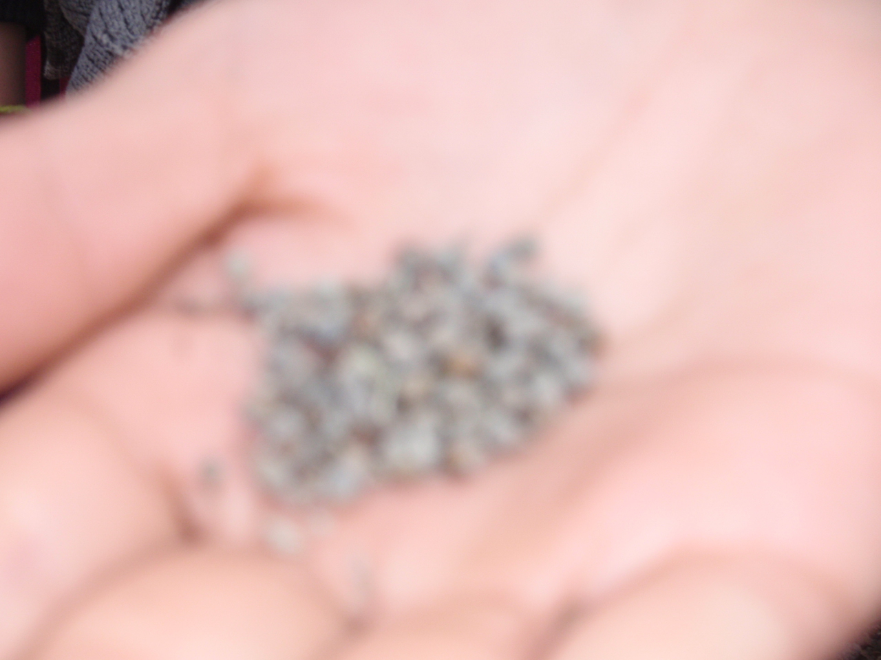 PB240090.JPG